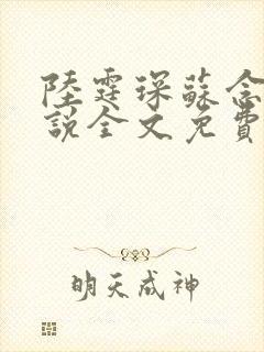 陆霆琛苏念的小说全文免费阅读