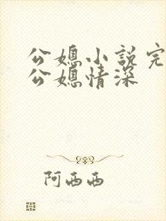 公媳小说完结版公媳情深