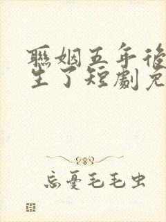 联姻五年后她重生了短剧免费封面