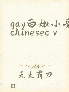 gay白嫩小受chinesecⅴ封面