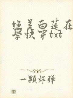 绝美白莲在线教学快穿txt