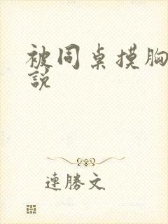 被同桌摸胸的小说