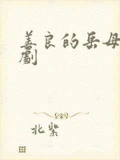 善良的岳母 韩剧