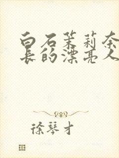 白石茉莉奈被部长的漂亮人妻封面