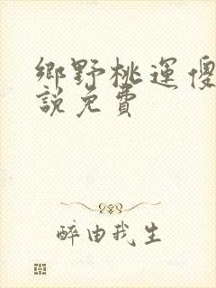 乡野桃运傻医小说免费
