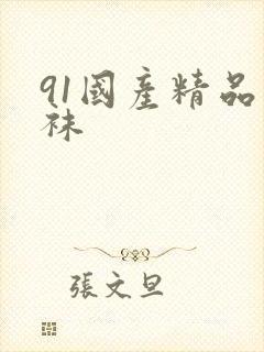 91国产精品丝袜