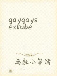 gaygaysextube封面