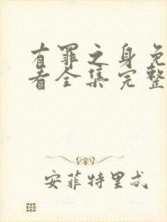 有罪之身免费观看全集完整版高清封面