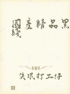 国产精品黑丝在线