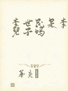 李世民是李渊的儿子吗封面