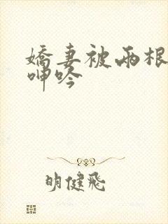 娇妻被两根进入呻吟