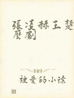 张凌赫王楚然什么剧