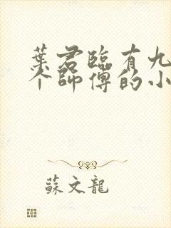 叶君临有九十九个师傅的小说免费阅读