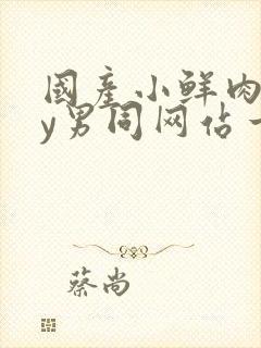 国产小鲜肉gay男同网站一一一一一一一封面