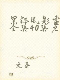 黑狐风影电视剧全集40集免费观看高清