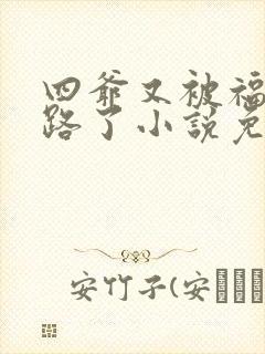 四爷又被福晋套路了小说免费阅读