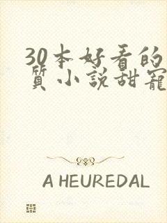 30本好看的肉质小说甜宠文