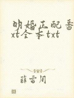 明婚正配番外txt全本txt