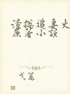 渣总追妻火葬场原著小说