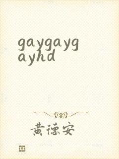 gaygaygayhd封面
