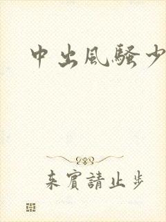 中出风骚少妇