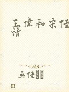 王伟和宋佳的爱情