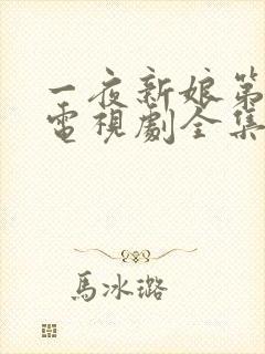 一夜新娘第一季电视剧全集免费观看封面