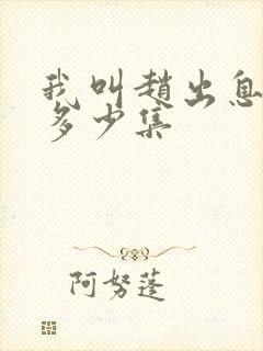 我叫赵出息总共多少集