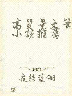 高质量文笔好的小说推荐封面