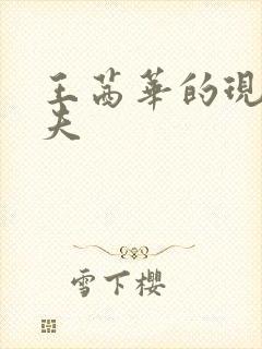 王茜华的现任丈夫