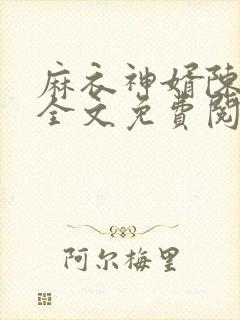 麻衣神婿陈黄皮全文免费阅读