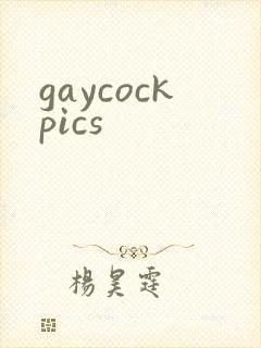 gaycockpics