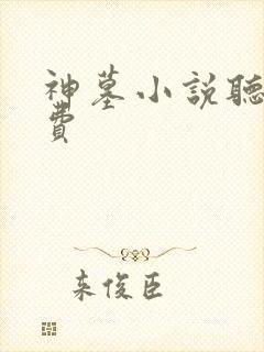 神墓小说听书免费封面