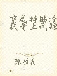 穿成特助冷艳总裁爱上我短剧免费观看