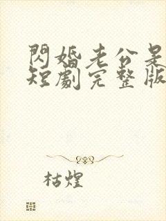 闪婚老公是总裁短剧完整版免费看