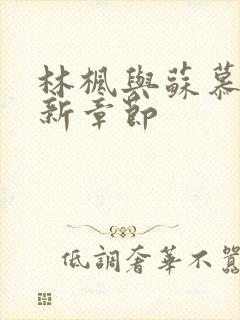 林枫与苏慕白最新章节