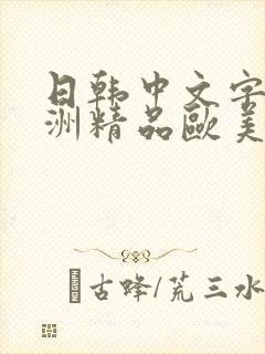 日韩中文字幕亚洲精品欧美