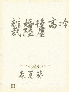 离婚后高冷女总裁陆尘