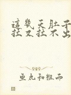 这几天肚子疼想拉又拉不出来