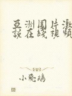 亚洲图片激情小说在线视频