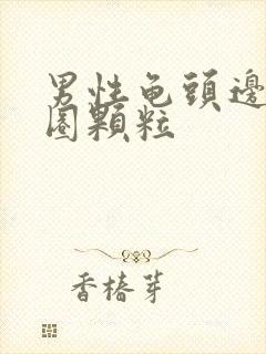 男性龟头边缘一圈颗粒封面