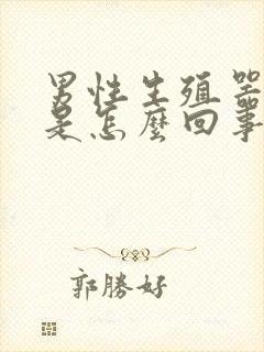 男性生殖器勃起是怎么回事