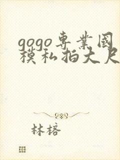gogo专业国模私拍大尺度