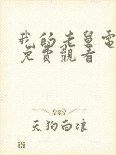 我的老舅电视剧免费观看