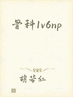 骨科1v6np