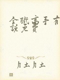 全职高手有声小说免费