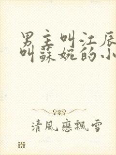 男主叫江辰女主叫苏婉的小说