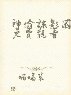 神偷谍影国语版免费观看