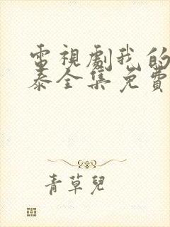 电视剧我的阿勒泰全集免费观看封面