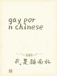 gay porn chinese